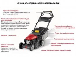 Характеристики и схема устройства Газонокосилка электрическая в виде машины
