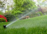 Соблюдайте технику безопасности во время стрижки мокрого газона электрическим тримером Соблюдайте технику безопасности во время стрижки мокрого газона электрическим триммером
